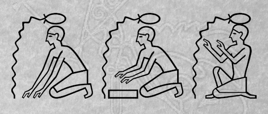 randys-latin-hieroglyphics-cover